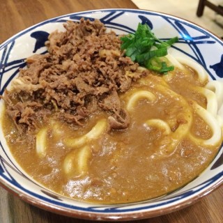 Curry Beef Udon - ในSerpong จากร้านMarugame Udon (Serpong)|Jakarta